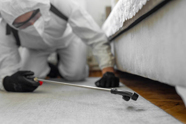 Professional Termite Control technician working in Rector, AR