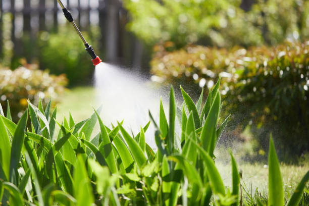 24/7 Emergency Termite Control experts in Rector, AR