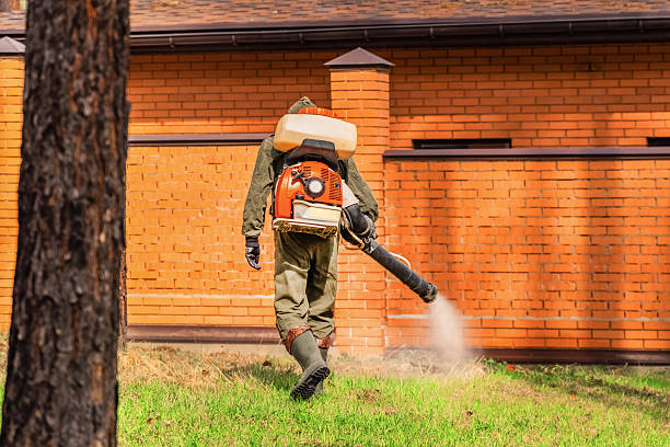 Top rated local Termite Control specialists in Rector, AR